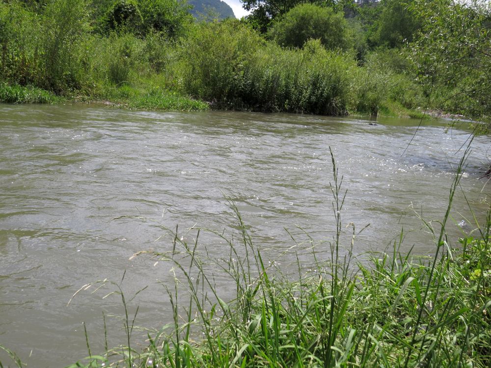 Летние зарисовки. Река Кар-кар, после дожлей она мутная.